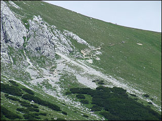 Zugspitze 1